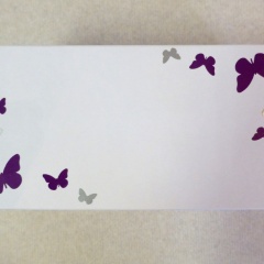 Geschenksbox mit Schmetterlingen